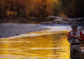 Bigwood River
