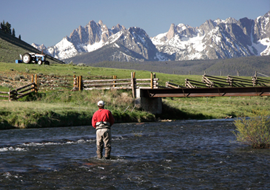 Salmon River
