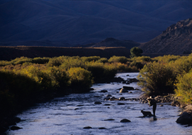 Copper Basin