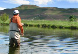 Introduction to Fly Fishing