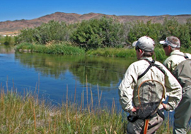Silver Creek