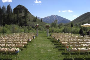 Dollar Wedding